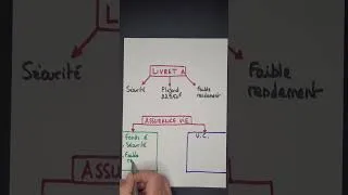 Miniature : Quelle est la différence entre le livret A et l'assurance vie ?