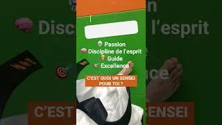 Miniature : Etre un enseignant de #karate - un sensei