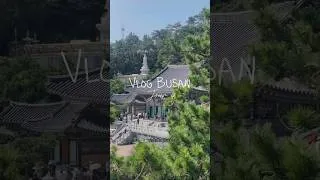 Miniature : Le plus beau temple de Corée du Sud ! Jour 4/4 à Busan #coreedusud #southkorea #busankorea