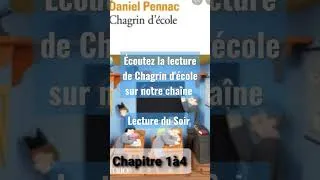 Miniature : Chagrin d'école de Daniel Pennac