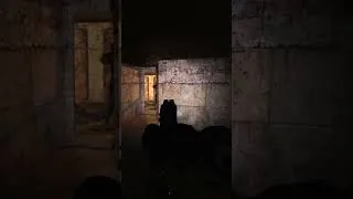 Miniature : Stalker - Anomaly : Combat rapproché avec le CZ-75 #stalker #anomaly #mods