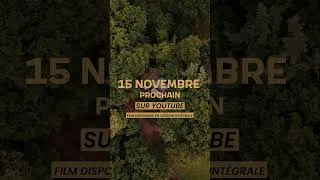 Miniature : TEASER - Living in a forest off the grid -