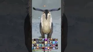 Miniature : Ce GROS BUG de la 7.4 ! 🤯🤯  #finalfantasy  #ff14  #gaming  #fyp  #ffxiv