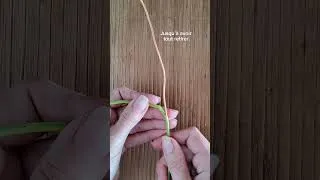 Miniature : Tuto trombone géant  😃🤩