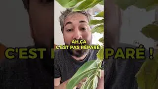 Miniature : Des bugs ? Ou ça des bugs ? C'est réparé !