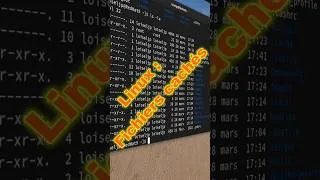 Miniature : Fichiers cachés Linux : ne faites pas d'erreur ! #short