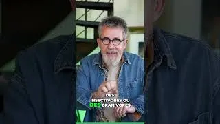 Miniature : Animaux Résilients:  Survivre au Chaos des Éruptions