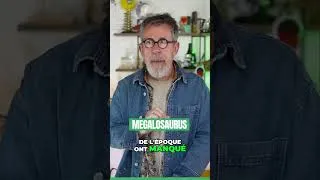 Miniature : Découverte des Dinosaures:  Mystères et Fossiles Fascinants