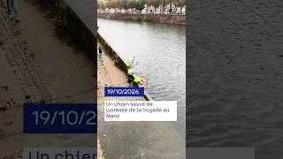 Miniature : Un sauvetage héroïque au Mans
