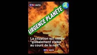 Miniature : SAUVONS NOS FORÊTS 🌲🪾- URGENCE PLANÈTE 🌍