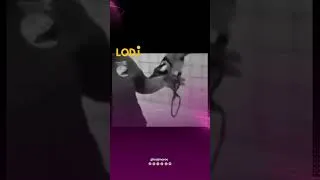 Miniature : تخيل  تكون وسط غابة مظلمة وتسمع صرخة استغاثة بشرية مفزعة! هاد الصوت المرعب كايصدروا طائر صغير كيتسمى