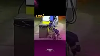 Miniature : فيديو كايوثق لحظة هجوم نمر ضخم على عامل فـ محطة وقود فـ البرازيل، البلان لي صدم كولشي هو الهدوء وال