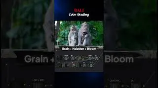 Miniature : Color grading with me 🔥 #bali #videaste #davinciresolve