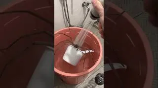 Miniature : Bien hydrater son araignée domestique 😮