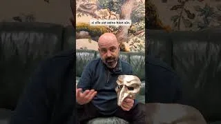 Miniature : Les personnalités Jungiennes et le masque de Pulcinella (la séduction/la perspicacité) - Episode 7/9