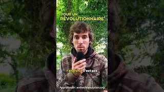 Miniature : Pour un anarchisme révolutionnaire