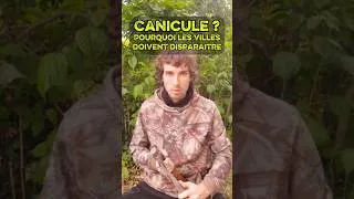 Miniature : Canicule ? Pourquoi les villes doivent disparaître