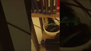 Miniature : Ma petite installation gaming 😊#gaming #ps5 #shorts