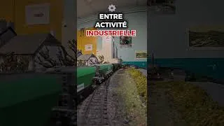 Miniature : La ligne des Causses accueille une rame céréalière 🚂 #miniature #train