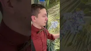 Miniature : BIGGEST LIZARD FAIL #reptiles #failarmy