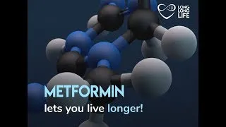 Miniature : Metformin, a anti-diabetic against aging?