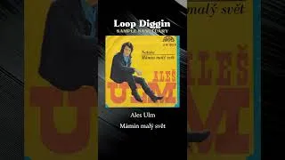 Miniature : Ales Ulm - Mámin malý svět | Pop 1974 | Loop Diggin