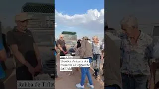 Miniature : Rahba de Tiflet : flambée des prix des moutons à l’approche de l’Aïd