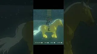 Miniature : The Legend Of Zelda Tears Of The Kingdom - J'apprivoise Un Cheval Doré #tearsofthekingdom #zelda
