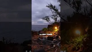 Miniature : 🇷🇪 C’était quoi le dernier ? 🦈