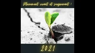 Miniature : Joyeuse année 2021 vivante et surprenante !