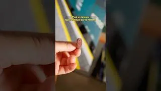 Miniature : C'est quoi ce petit objet ?