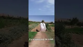 Miniature : Nouvelle vidéo dispo - une grosse rando jusqu'aux gorges de Toudgha | Tinghir 🇲🇦🥾