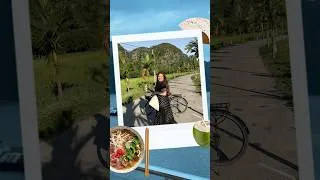 Miniature : rendez vous dans mon dernier vlog au Vietnam 🇻🇳 (merci pour vos commentaires🥹🫶🏻) #vlog #vietnam