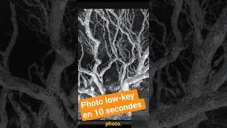 Miniature : L'outil peu connu pour créer une photo LOW-KEY en 10 secondes #shorts #photoediting #retouchephoto