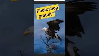 Miniature : Un “Photoshop gratuit” ?