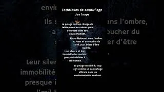 Miniature : Techniques de camouflage des loups #naturesauvage