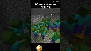 Miniature : POV : When you entrer /kill @e  #questcequejedevraischoisir