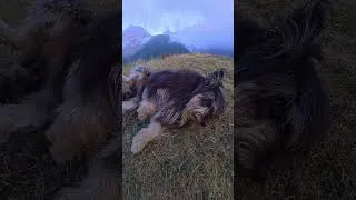 Miniature : GRANDIOSE ! (Ce soir dans les montagnes Ariegeoises) Merci !