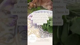 Miniature : Intention sacrée 💫 Je prends soin de mon jardin intérieur