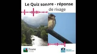 Miniature : Quiz sonore [43]