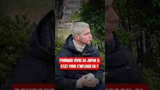 Miniature : Vivre au Japon c'est surcoté