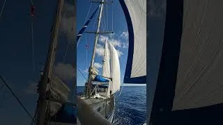 Miniature : ESPALLUT LA TRANSAT 2026  3 éme ESCALE : BVI - Les BERMUDES