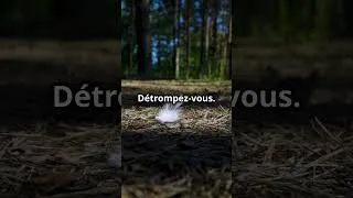 Miniature : Messages de votre ange gardien