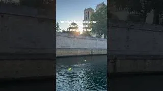 Miniature : Traversée de Paris à la nage ! 8,5km de bonheur. Qui veut le faire l’année prochaine ? @openswimapp