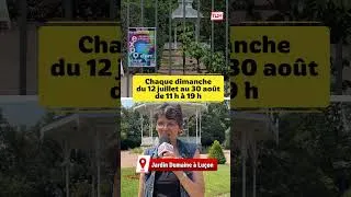 Miniature : Luçon : 25 artistes exposent chaque dimanche au jardin Dumaine