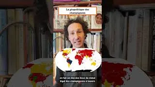 Miniature : Guide sur les champignons