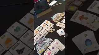 Miniature : CARNUTA MODE SOLO #jeuxdesociete #boardgames #bgg #letsplay #carnuta