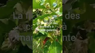 Miniature : 18 février 2026