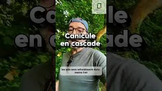 Miniature : Et si une canicule pouvait en favoriser une autre ? #news #climatechange #ademe #canicule #france