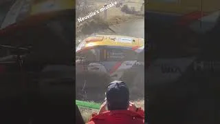 Miniature : Neuville's mistake in MonteCarlo 2025